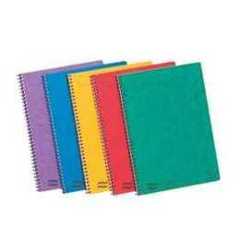 Clairefontaine Clairefontaine 4860Z Set of 10 Notemakers Europa Spiral